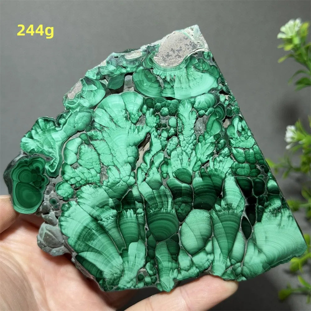 Thiên Nhiên Đá Malachite Sống Thiền Trang Trí 50cm - Daisan Mart