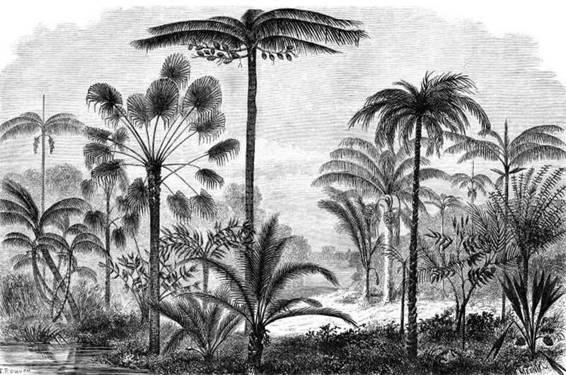 Custom Black and White Tropical Plant Tropical Wallpaper Mural for living Room TV Background 3d Stickers wall papers home decor