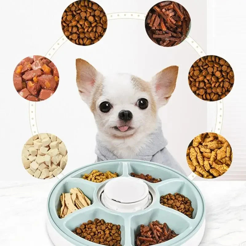 Pet Supplies Six Grid Intelligent Timed Automatic Feeder Timed and Quantitative Feeding Utensils for Pets Feeder Machine - Daisan Mart