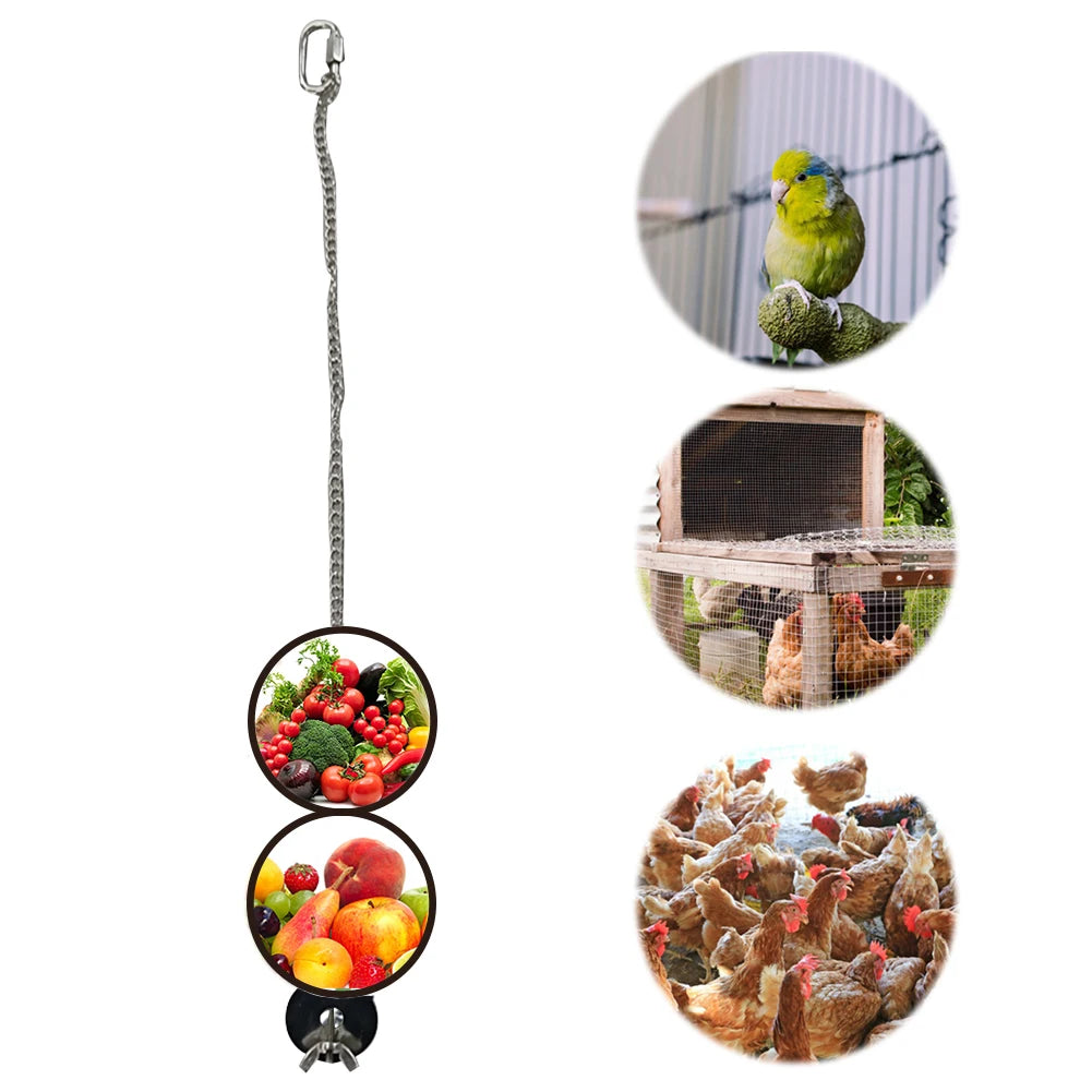 Pet Parrot Stainless Steel Feeder Fruit Corn Fork Toys Chicken Vegetables Holder Hanging Feeding Stick Feeder Pet Accessories