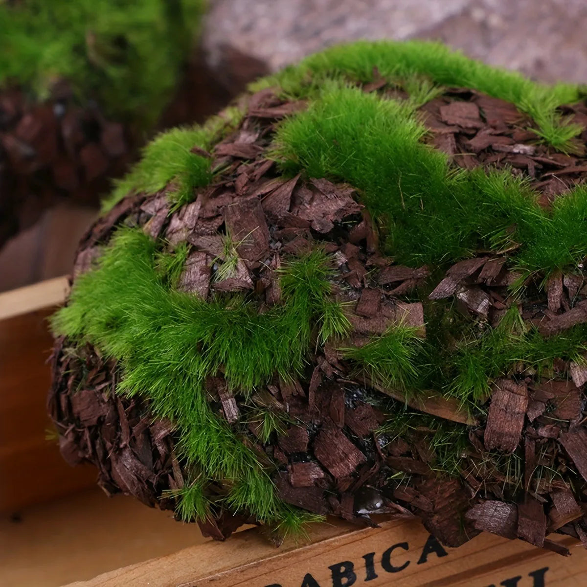 6-Piece Decorative Moss Stone Set for Aquarium &amp; Garden