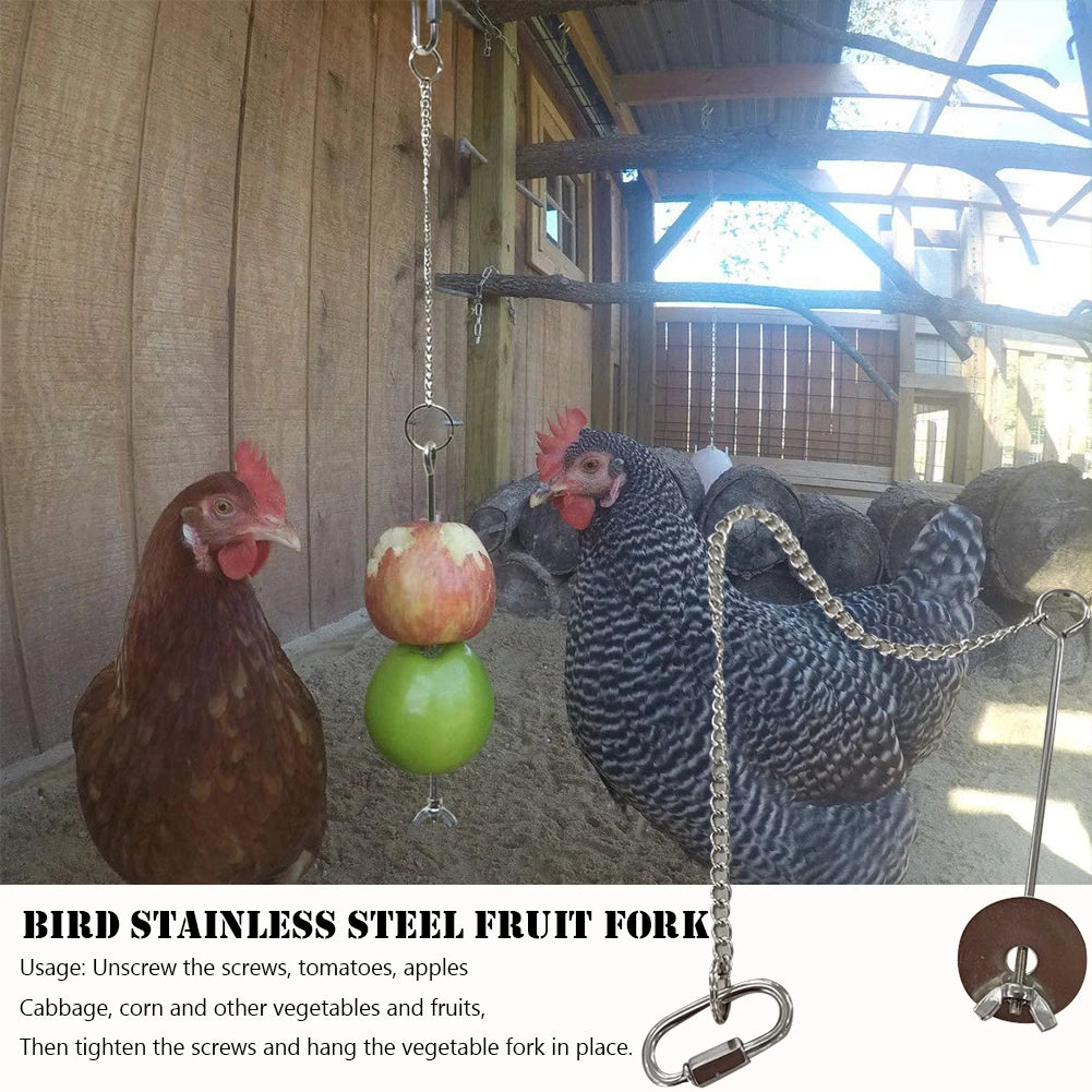 Pet Parrot Stainless Steel Feeder Fruit Corn Fork Toys Chicken Vegetables Holder Hanging Feeding Stick Feeder Pet Accessories