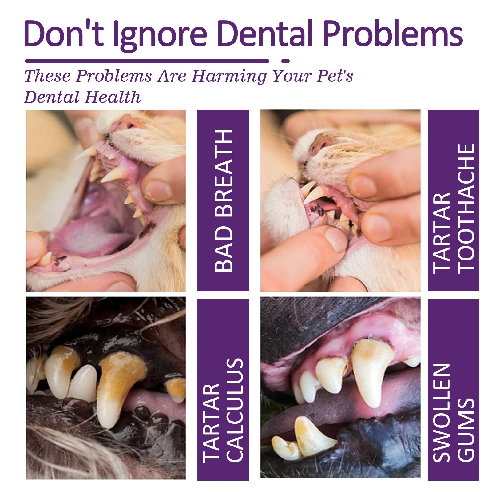 Pet Toothpaste Cat Oral Cleaning Deodorant Breath Freshener Prevent Calculus Tartar Halitosis Cleaning Pet Teeth Cleaner Paste - Daisan Mart