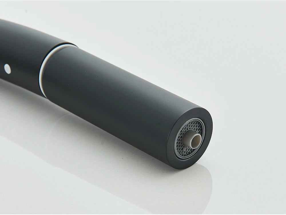 2-Mode Swivel Gold Brass Water Filter Kitchen Faucet