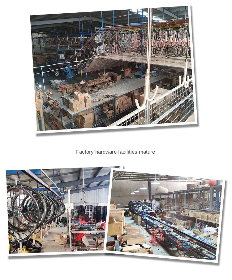 Aro Velo 29 - Xe Đạp Đua Nam Khung Thép Magiê - Daisan Mart
