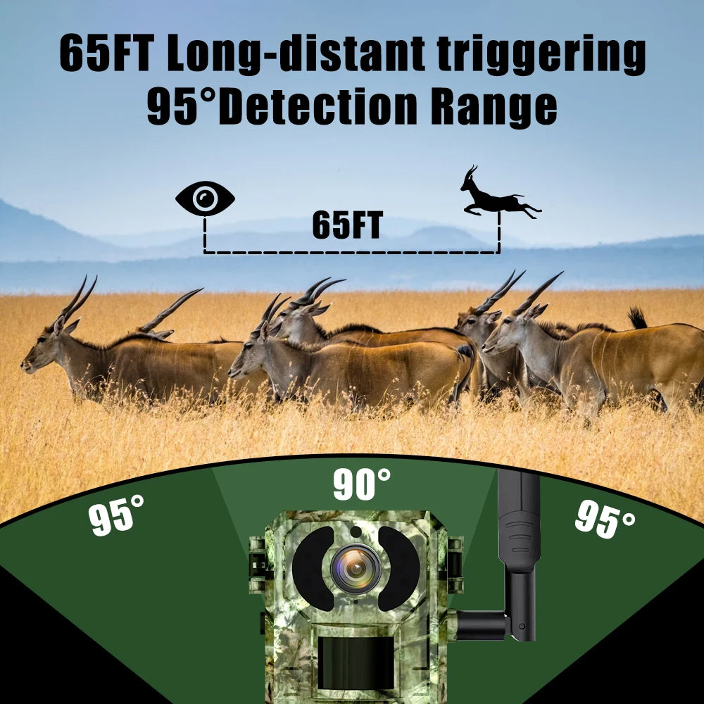 4G European Hunting Camera 4MP Motion Activated