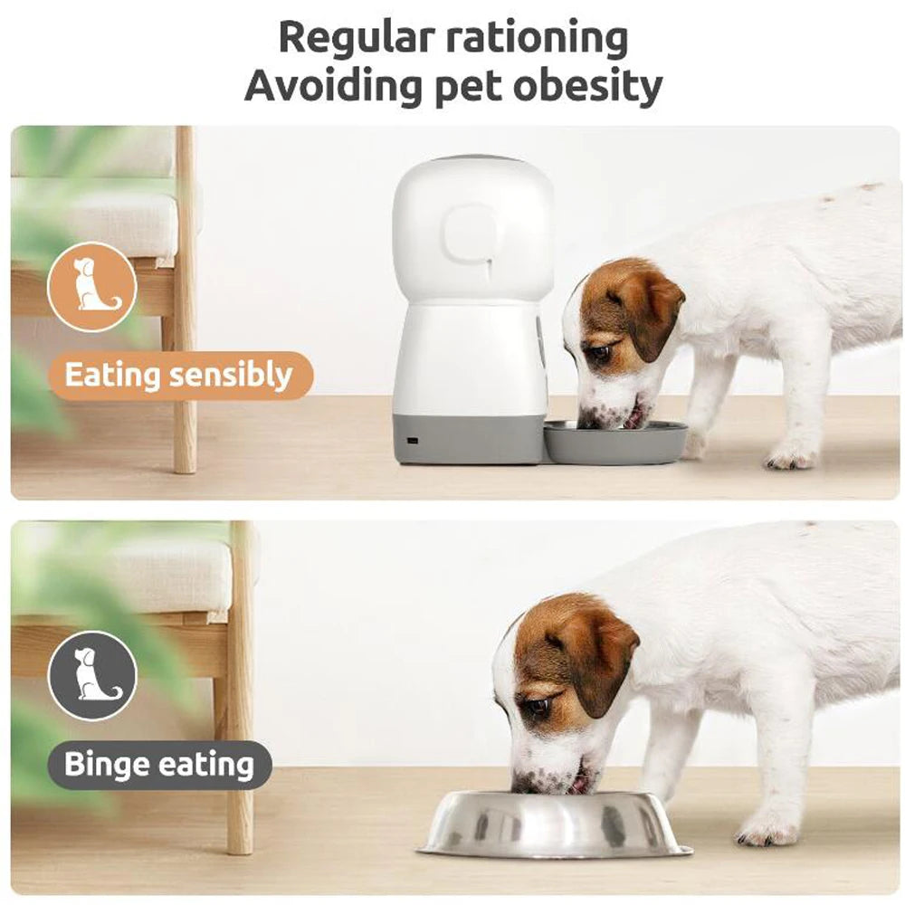 3.5L Automatic Pet Feeder Smart Food Dispenser For Cats Dogs Timer Stainless Steel Bowl Auto Dog Cat Pet Feeding Pet Supplies - Daisan Mart