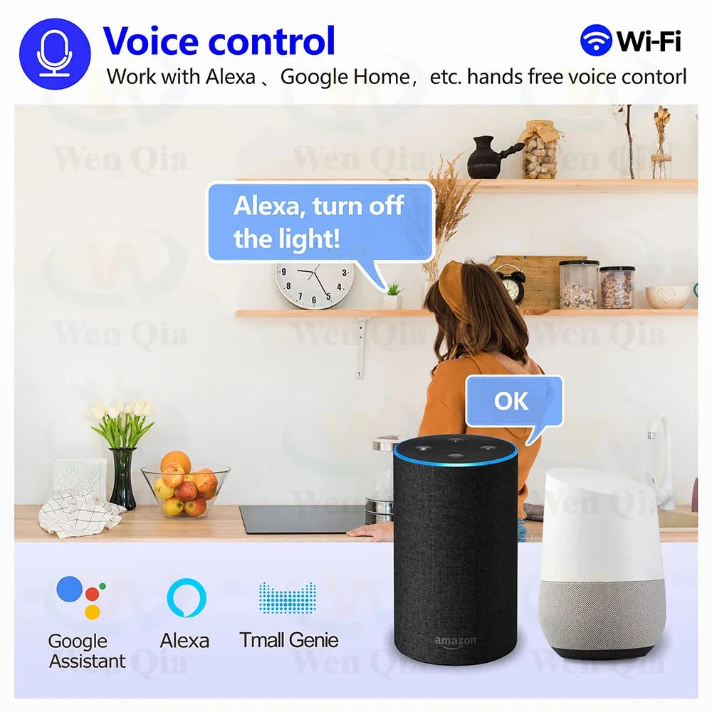 Tuya Smart Switch 5V-48V Remote Control 