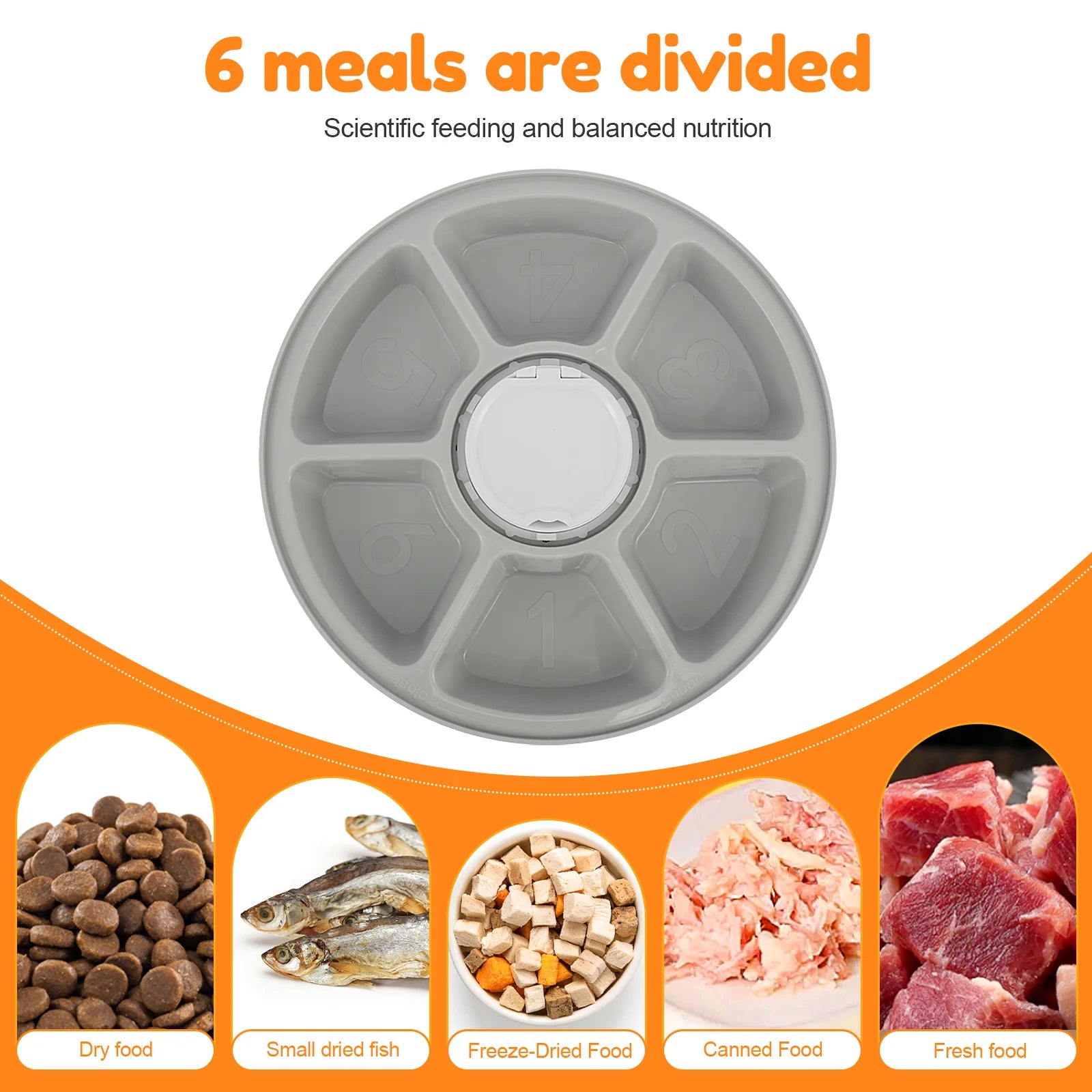 Pet Automatic Timing Feeder Intelligent Pet Feeder with Timer 6 Meals Pet Dry Wet Food Dispenser Automatic Pet Bowl Supplies - Daisan Mart