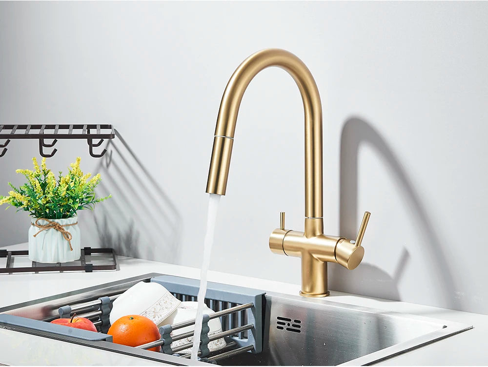 2-Mode Swivel Gold Brass Water Filter Kitchen Faucet