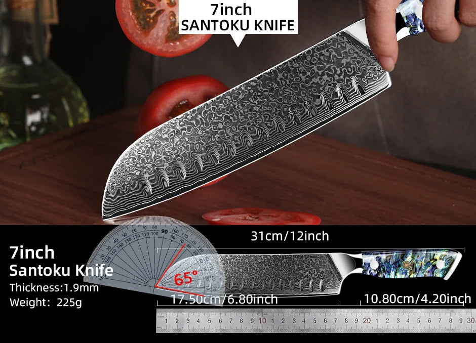 Dao Bếp Damascus VG10 67 Lớp Tay Cầm Vỏ Bào Ngư