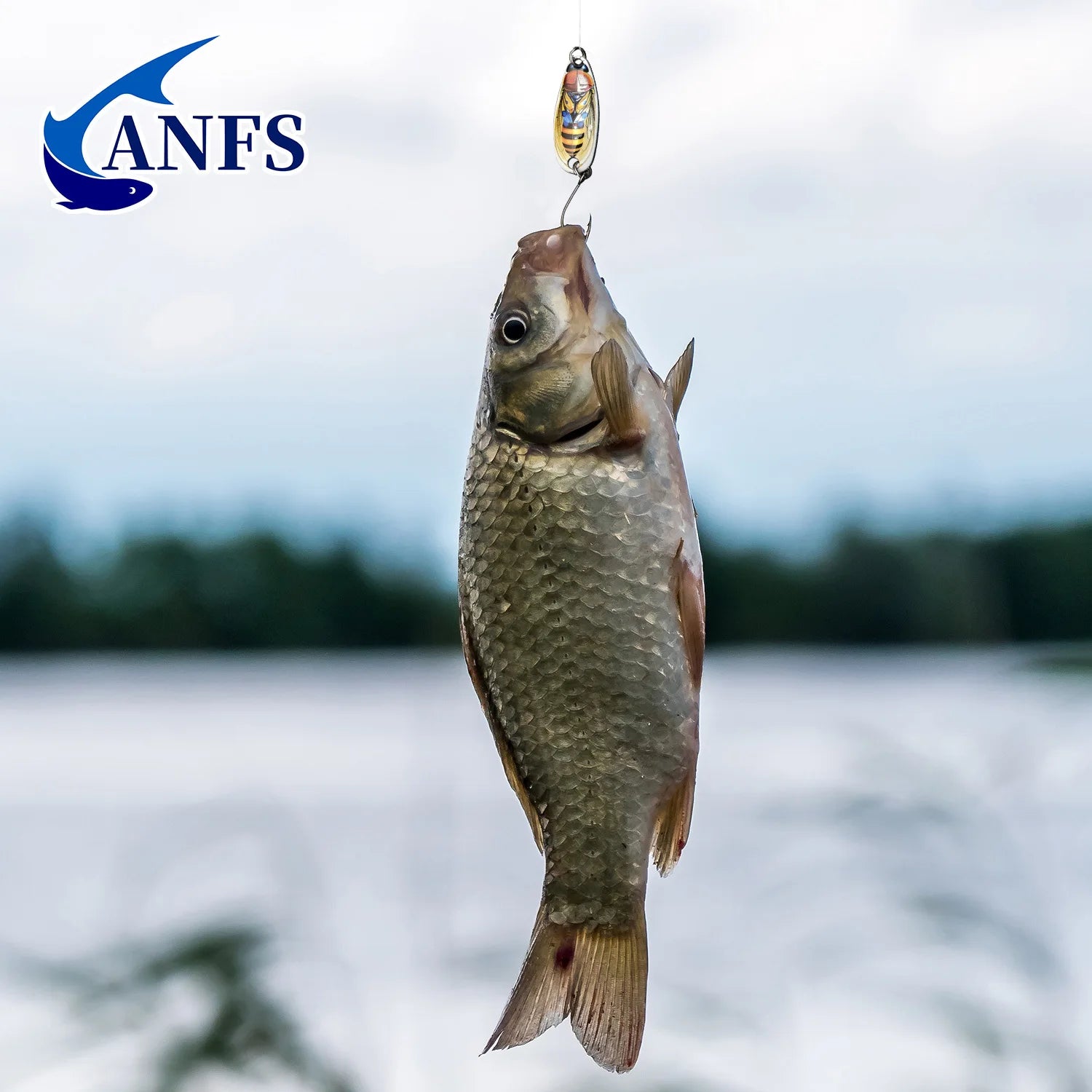 Mồi Câu Kim Loại 5 Món - Dụng Cụ Câu Nước Ngọt/Mặn