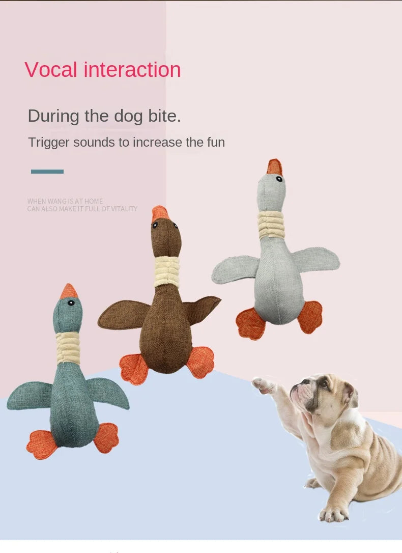 Pet Toys: Anti-Bite &amp; Noise Wild Goose