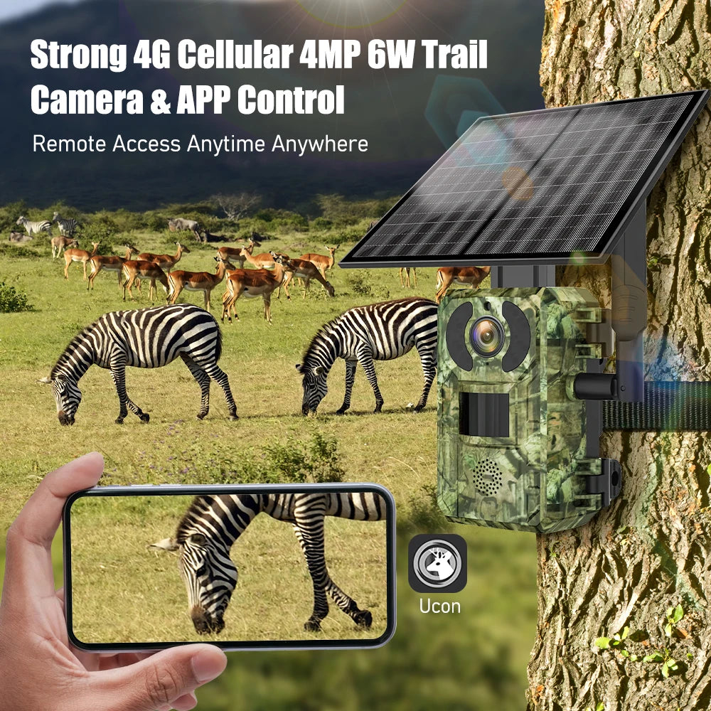 4G European Hunting Camera 4MP Motion Activated