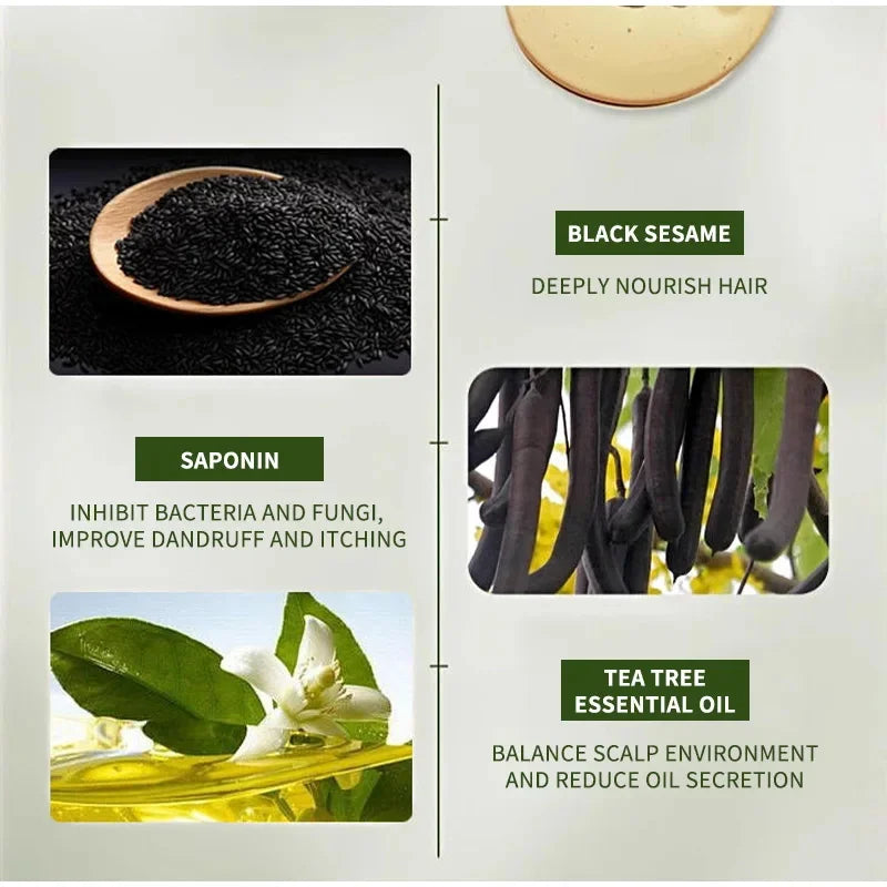 Platycladus Herbal Shampoo for Natural Hair Loss Prevention