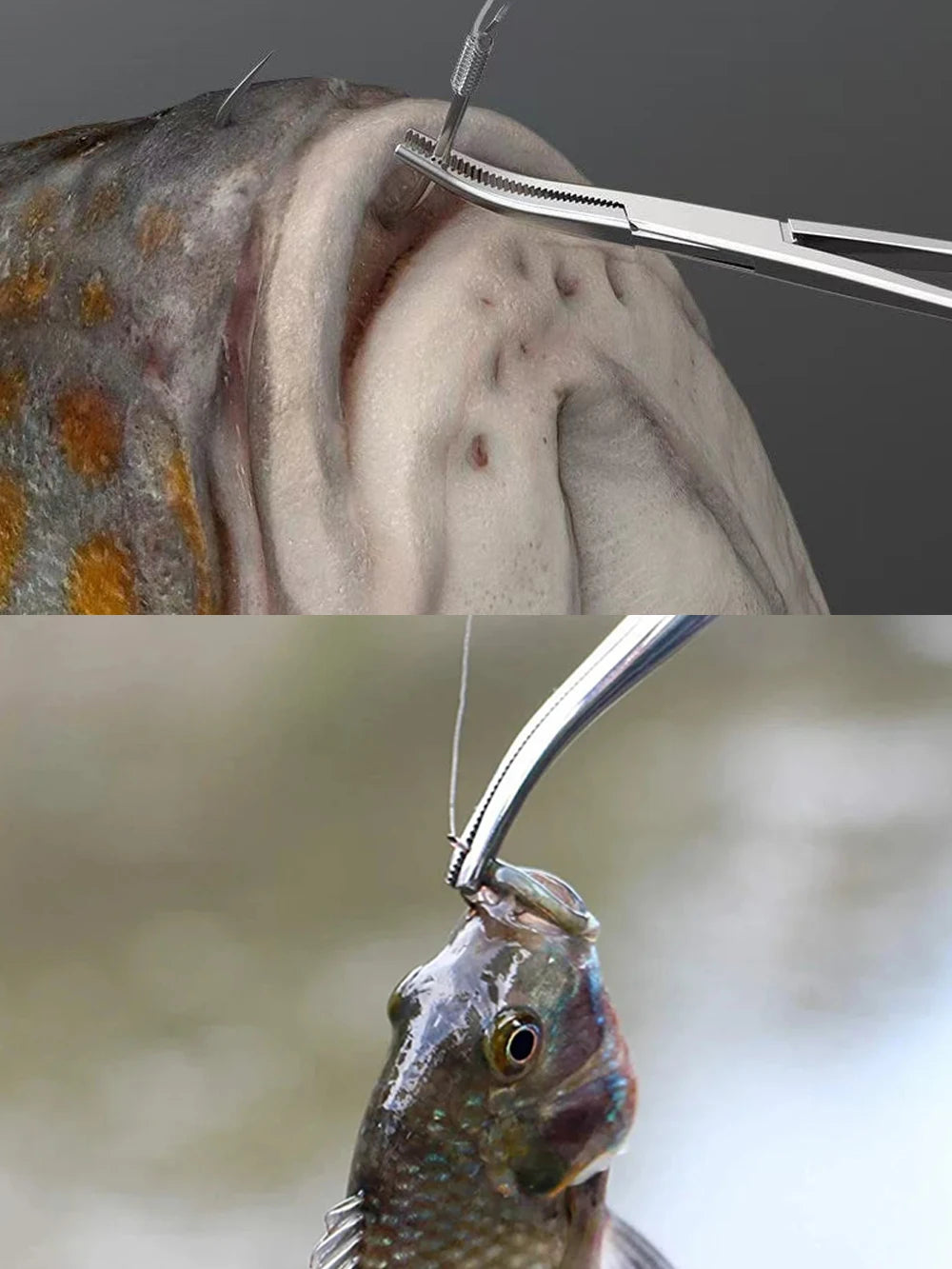 Kềm Gỡ Lưỡi Câu Đa Năng Cong Thẳng Chuyên Dụng