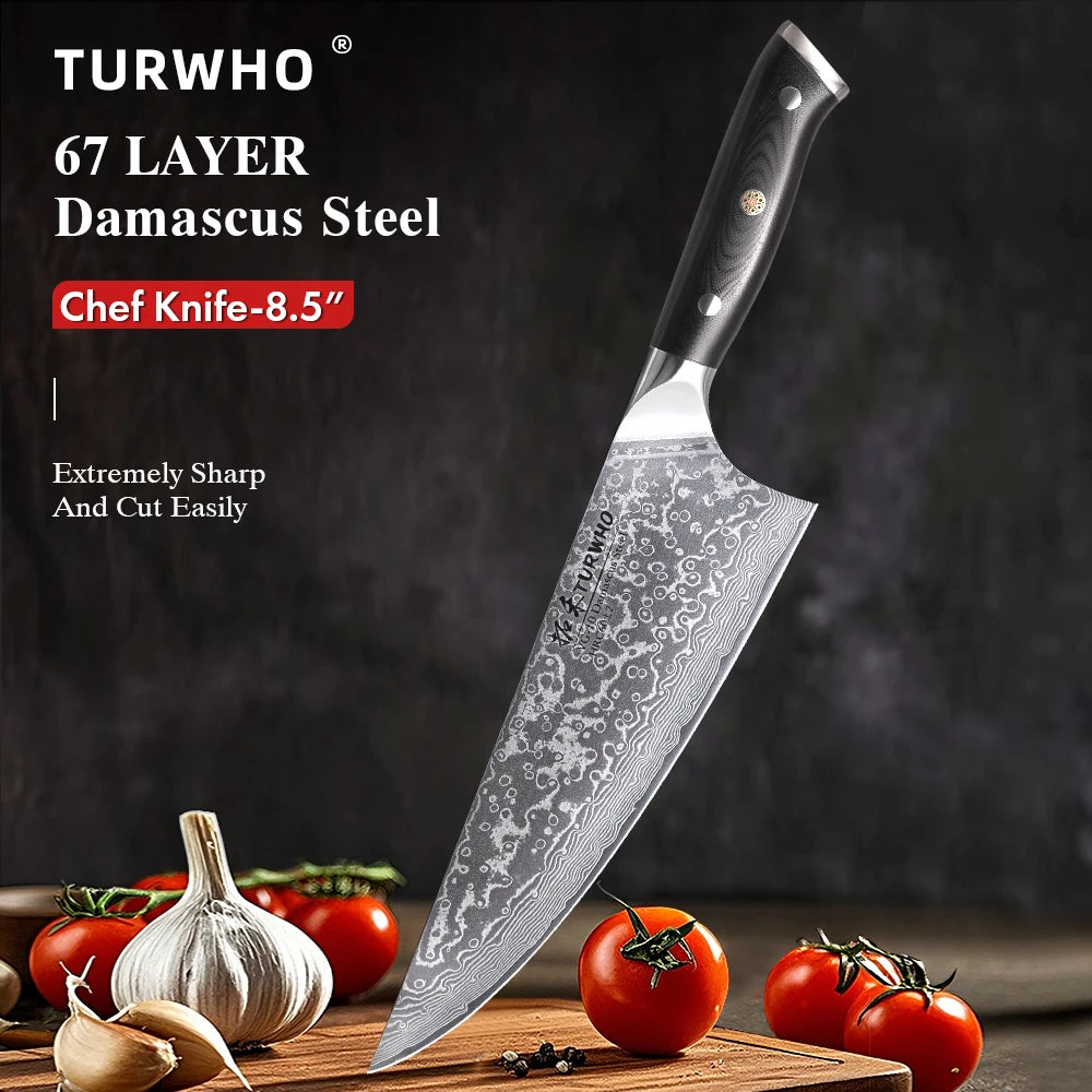 Gyuto Professional Kitchen Knife - 67 Layer Damascus Steel