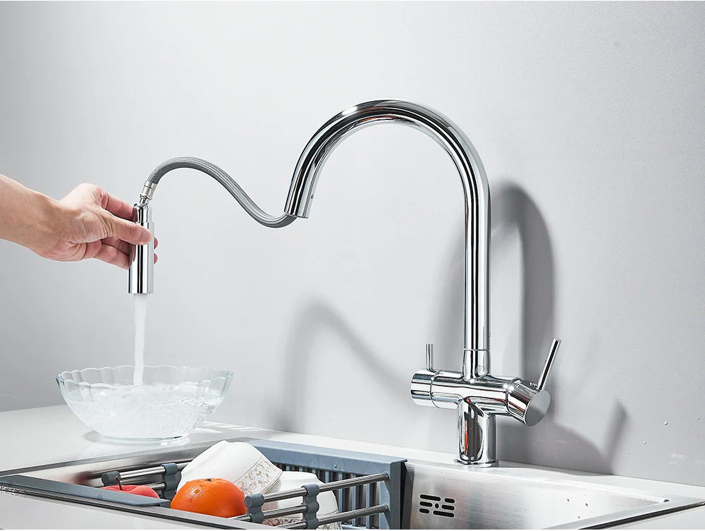 2-Mode Swivel Gold Brass Water Filter Kitchen Faucet