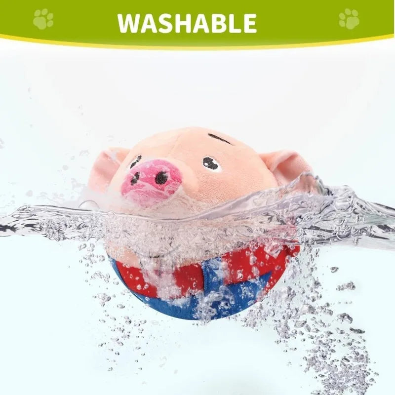 Đồ Chơi Thú Cưng Hoạt Hình An Toàn & Bền Bỉ