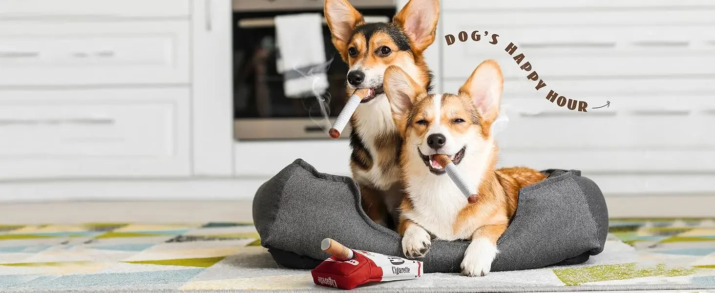 Đồ Chơi Chó Lớn Siêu Bền - Huấn Luyện & Gặm Nhai