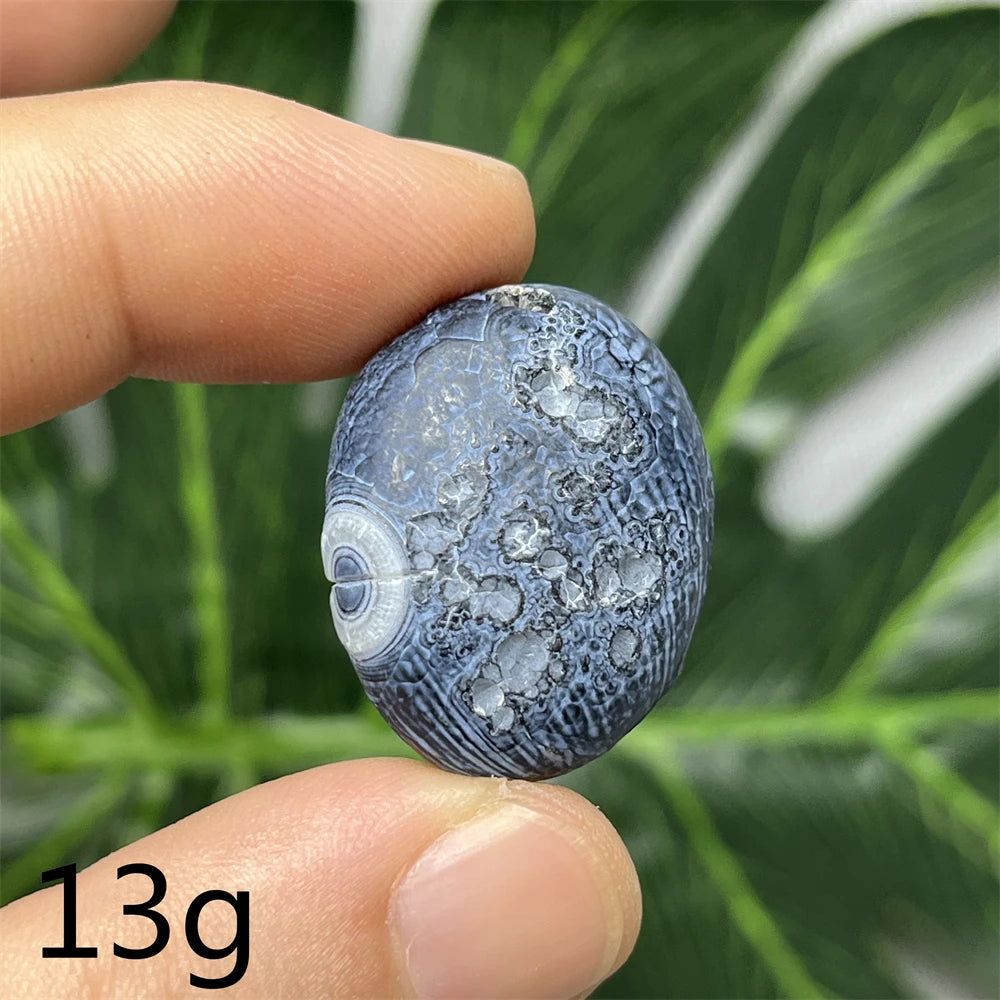 Natural Meteorite Stone for Energy Room Decoration