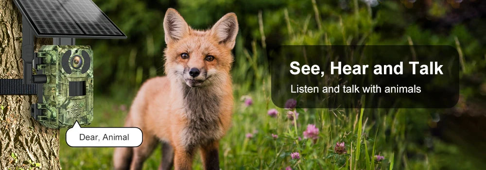 4G European Hunting Camera 4MP Motion Activated