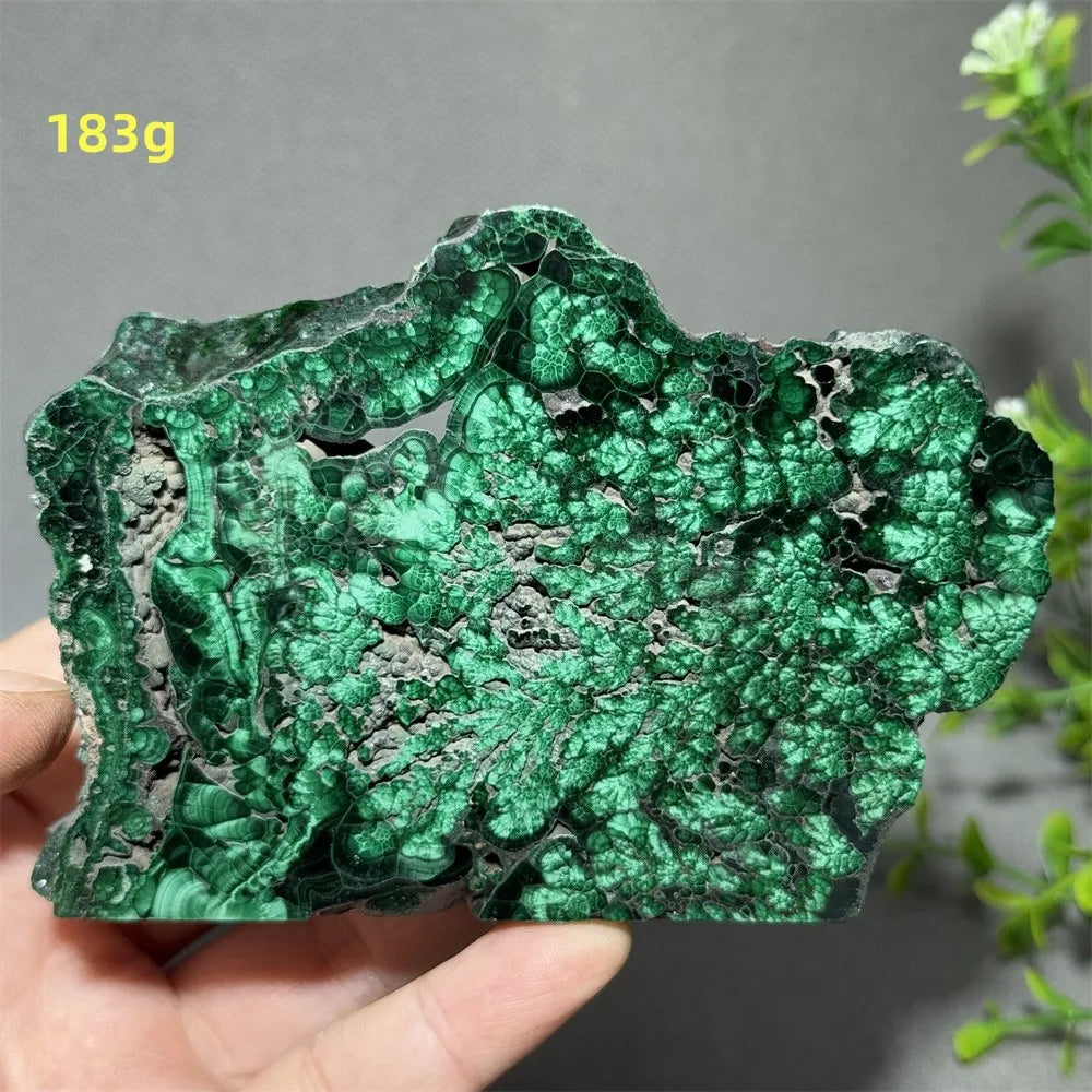 Thiên Nhiên Đá Malachite Sống Thiền Trang Trí 50cm - Daisan Mart