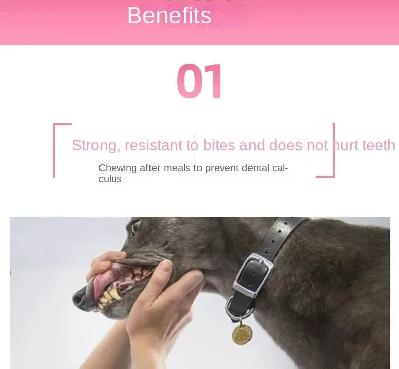 Đồ Chơi Gặm Nhấm Khủng Long Cho Chó Mèo Vui Nhộn