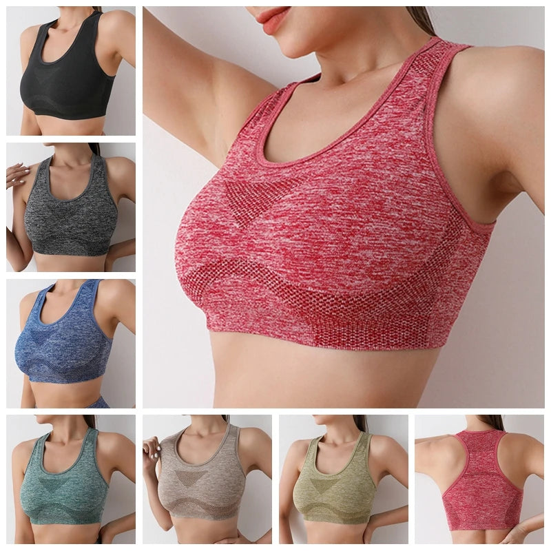 Bra Thể Thao Nữ Co Giãn Tập Gym Yoga Đệm Eo êm - Daisan Mart