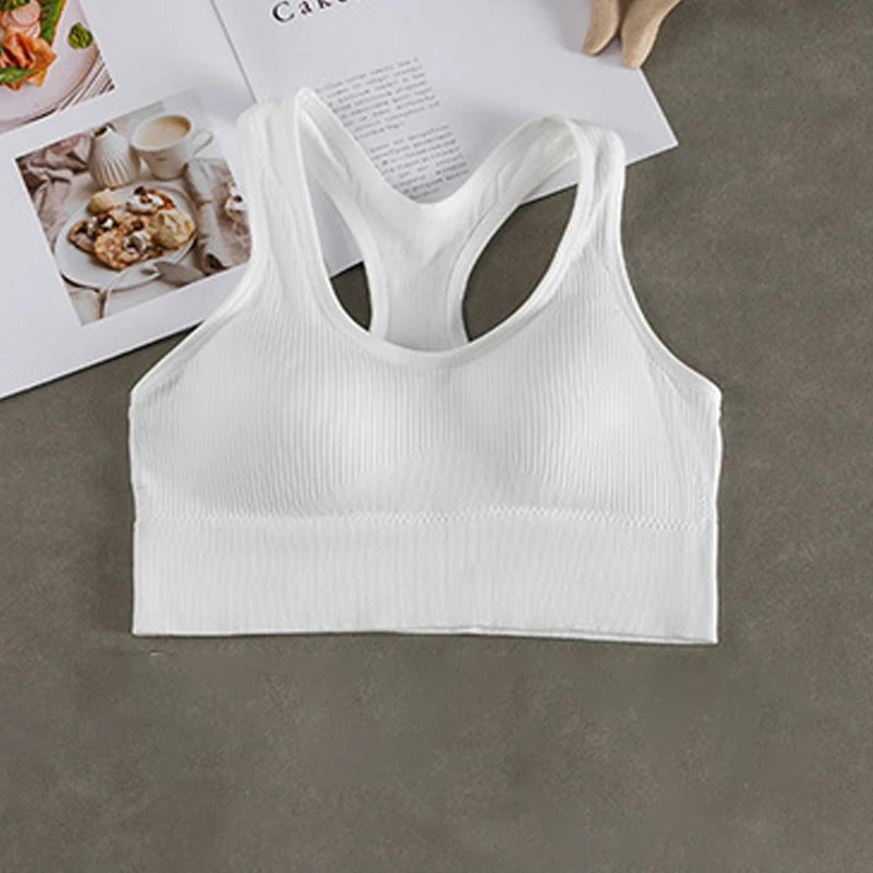 Áo Ngực Thể Thao Nữ Tăng Đẩy - Thoáng Khí & Năng Động - Daisan Mart