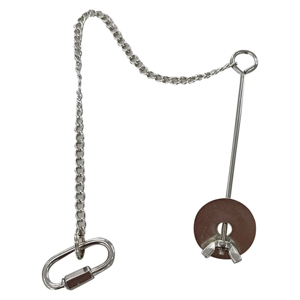 Pet Parrot Stainless Steel Feeder Fruit Corn Fork Toys Chicken Vegetables Holder Hanging Feeding Stick Feeder Pet Accessories