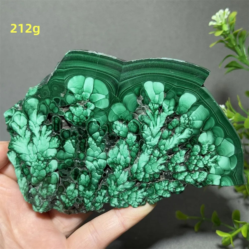 Thiên Nhiên Đá Malachite Sống Thiền Trang Trí 50cm - Daisan Mart