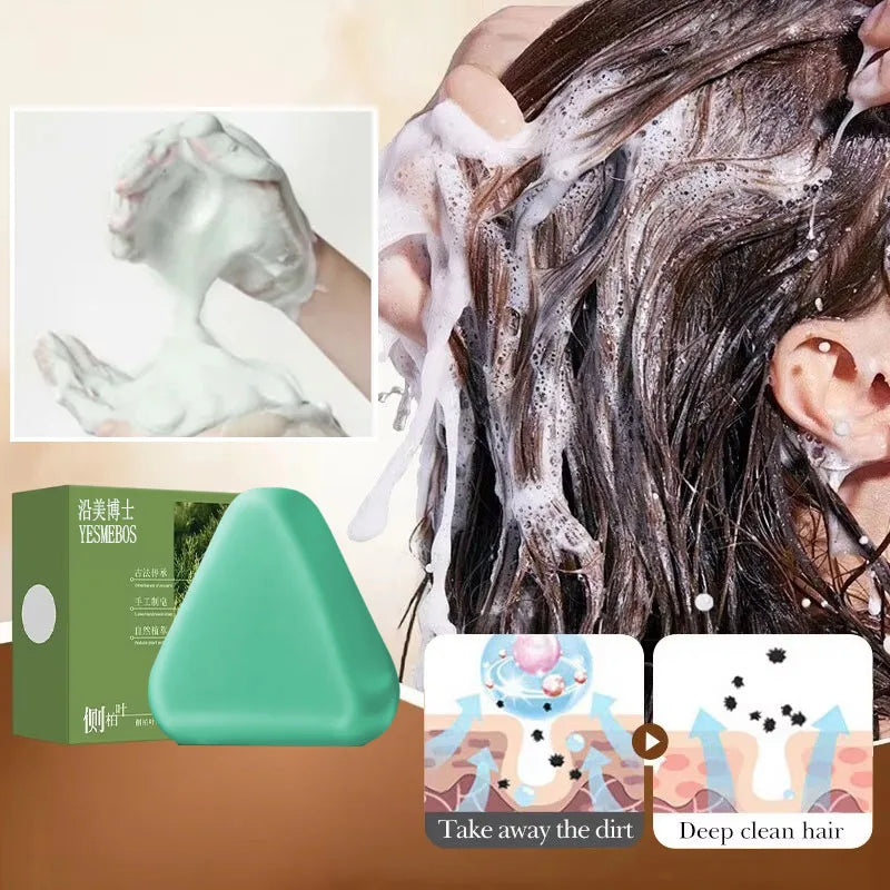 Platycladus Herbal Shampoo for Natural Hair Loss Prevention