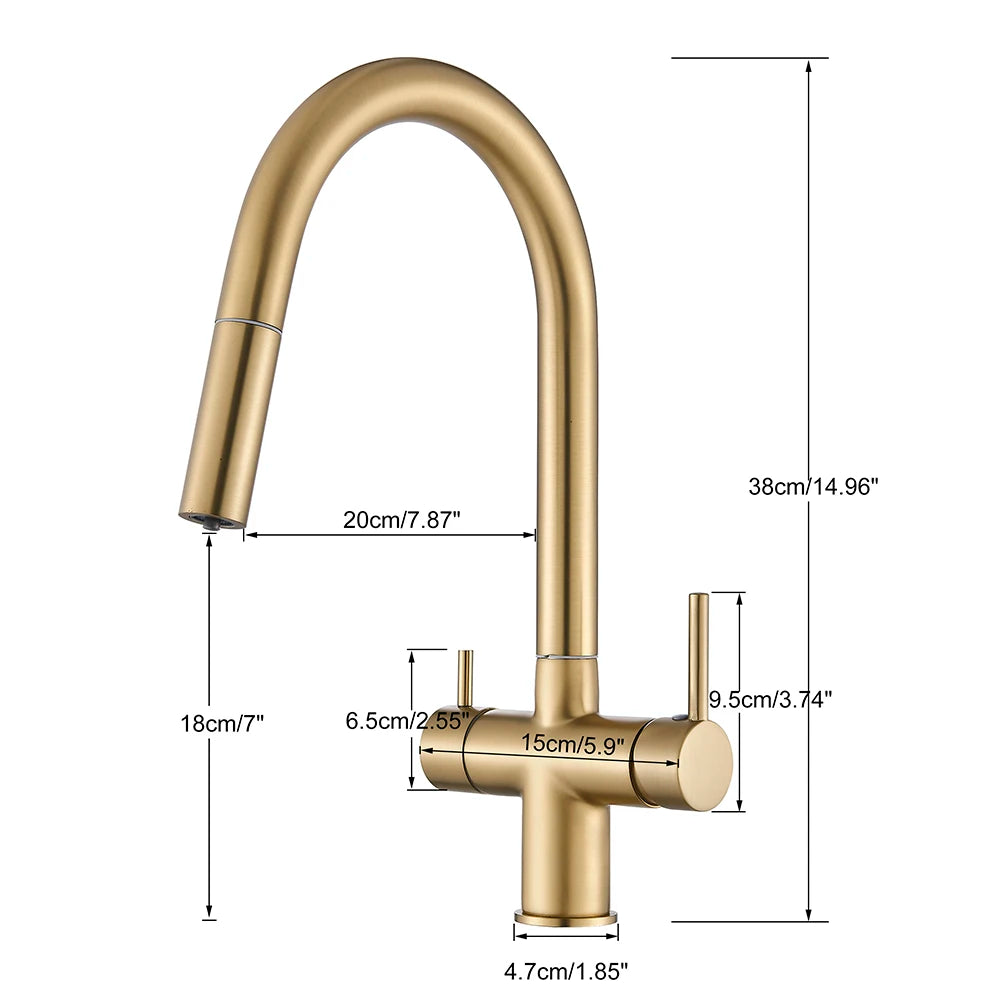 2-Mode Swivel Gold Brass Water Filter Kitchen Faucet