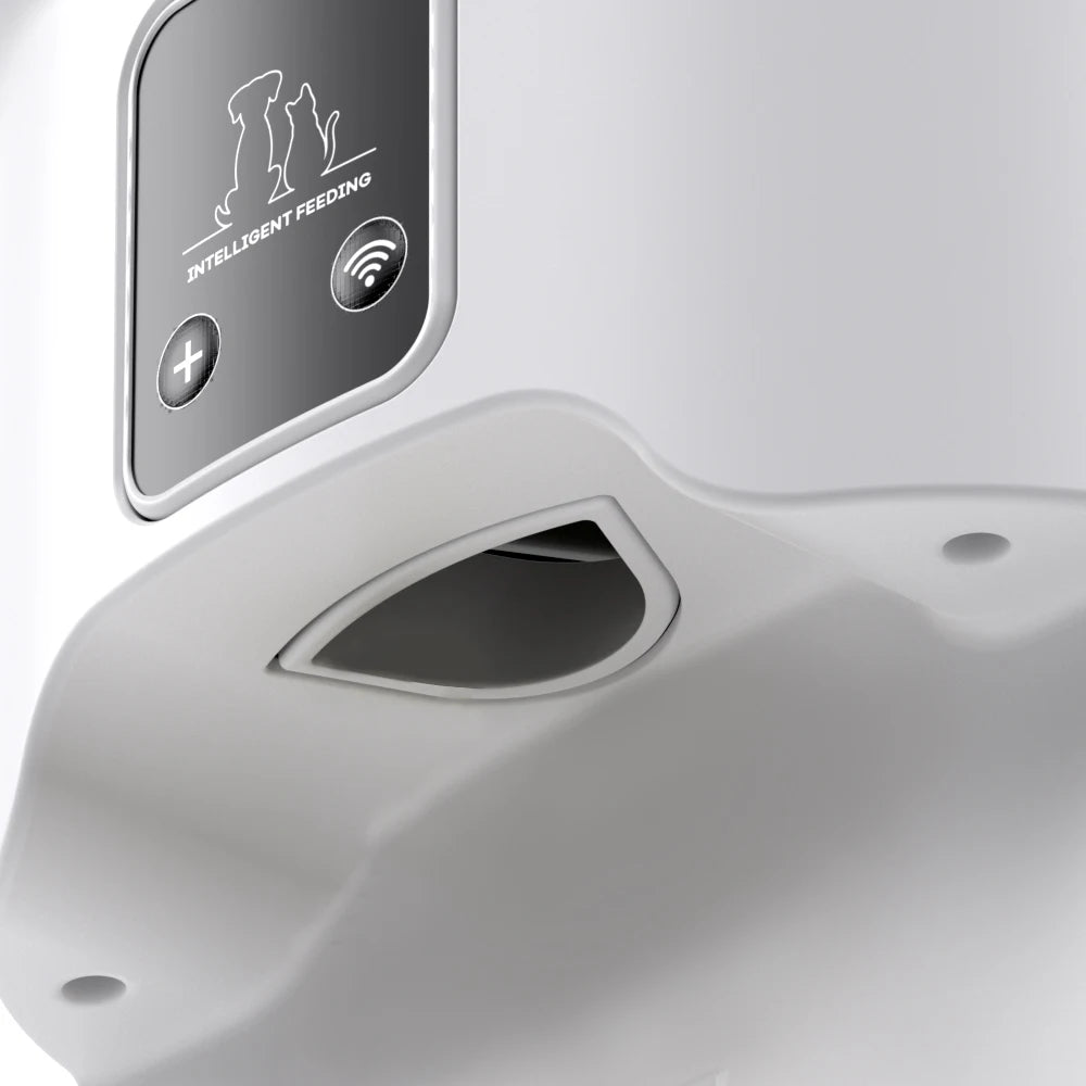 4L Pet Feeder Timing 5V USB Smart Automatic Dog Pet Feeder For Cats Dog Button WIFI APP Intelligent Dry Food Dispenser Dog Bowl