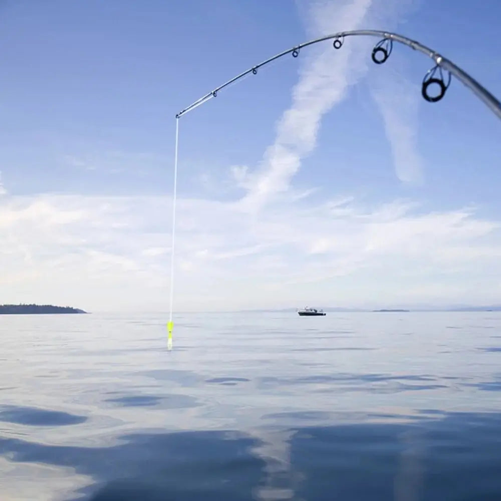 Phao Câu Cá Phát Sáng Ban Đêm ABS Đa Năng