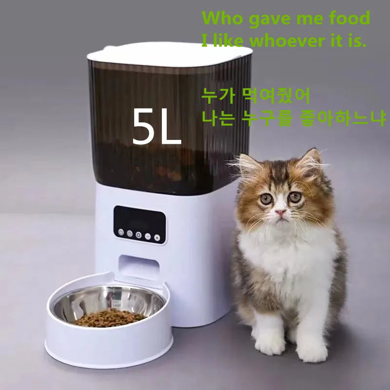 Pet Automatic Feeder Dog Feeding And Water Dog Accessories Cat Drinking Water Flowing Water Without Inserting Electric Kettle - Daisan Mart