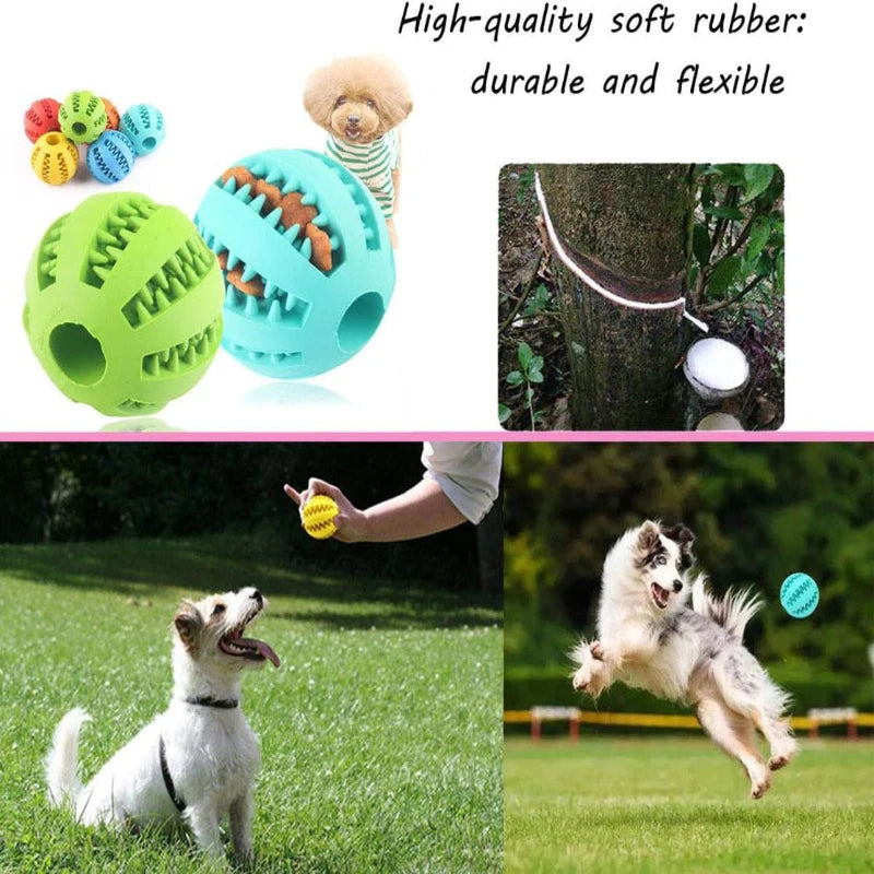 Interactive Play Ball for Dogs and Cats - Chewing &amp; Teeth Cleaning Tool