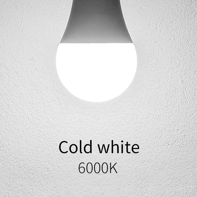 Set of 5 12V Multi-Power Indoor LED Bulbs