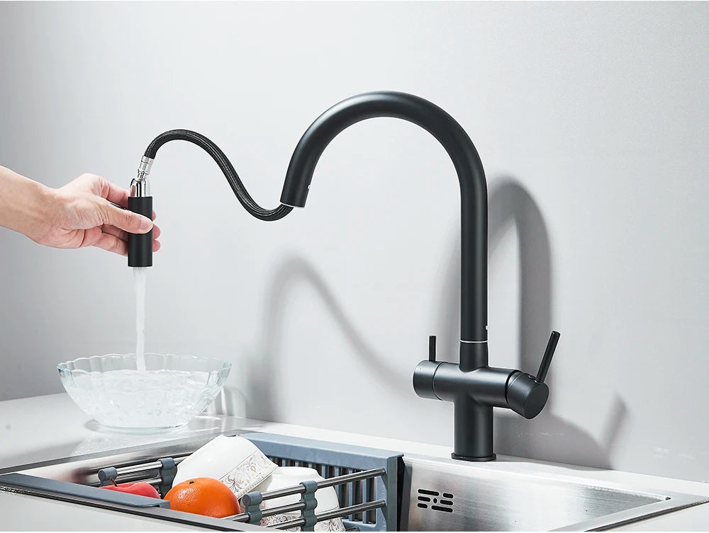 2-Mode Swivel Gold Brass Water Filter Kitchen Faucet