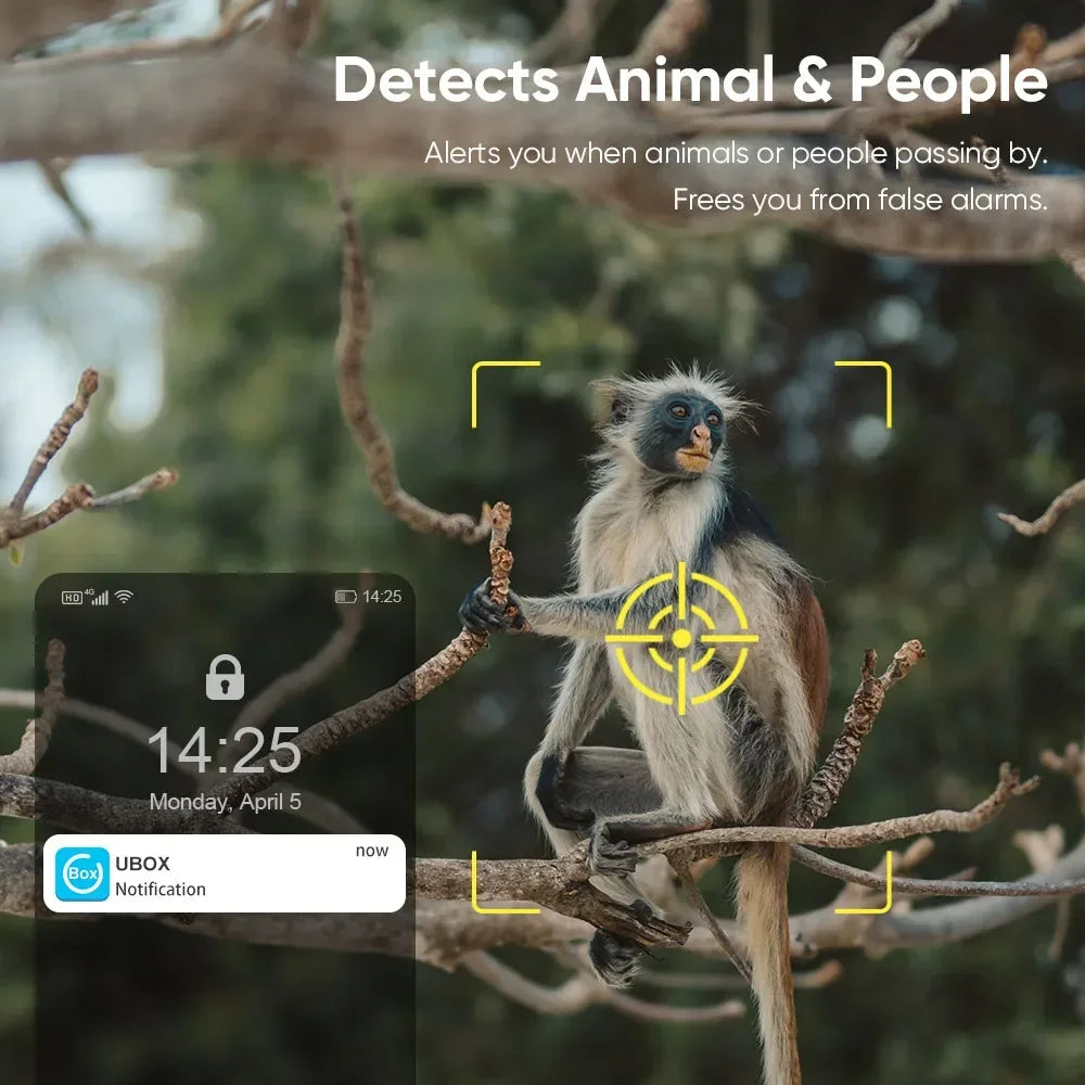 Camera Solar 4G LS VISION 4MP Ngoài Trời Chống Nước