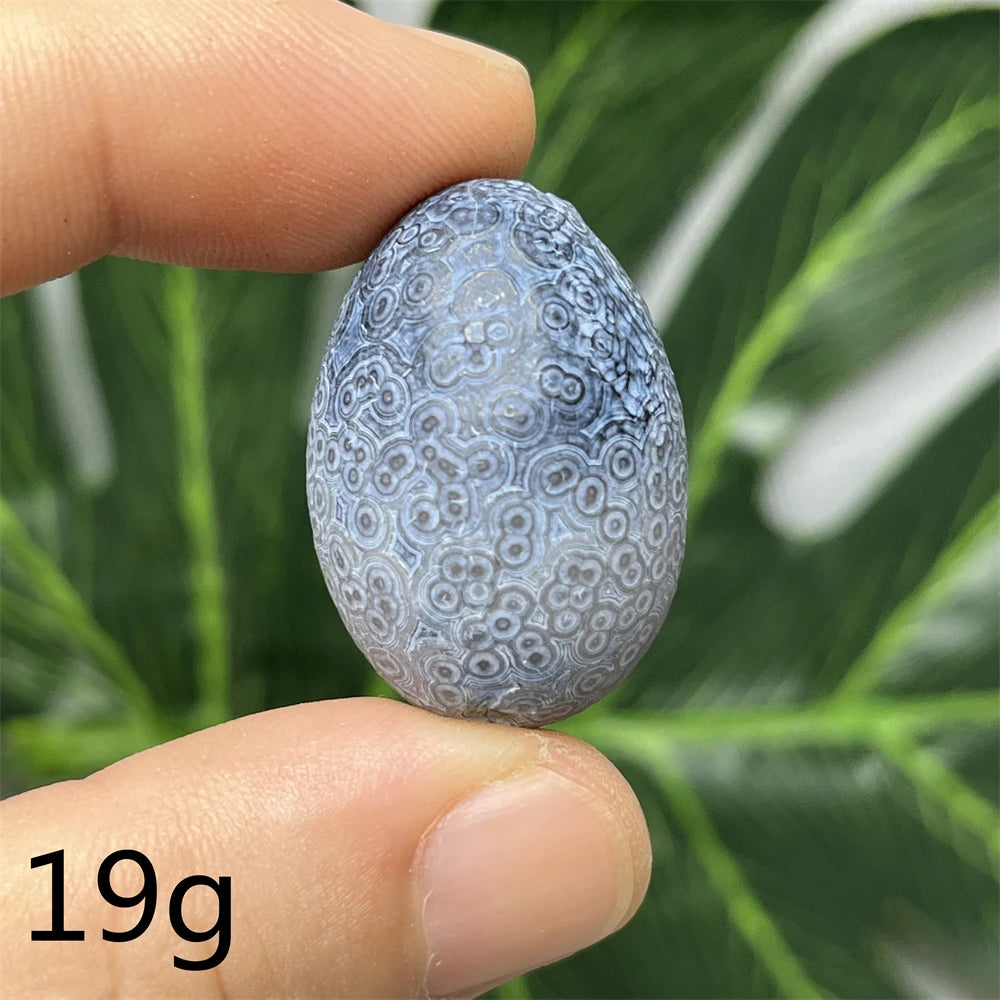 Natural Meteorite Stone for Energy Room Decoration