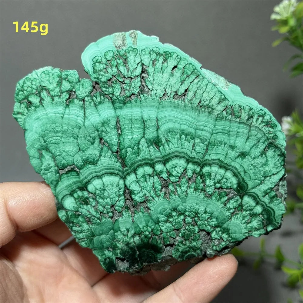 Thiên Nhiên Đá Malachite Sống Thiền Trang Trí 50cm - Daisan Mart