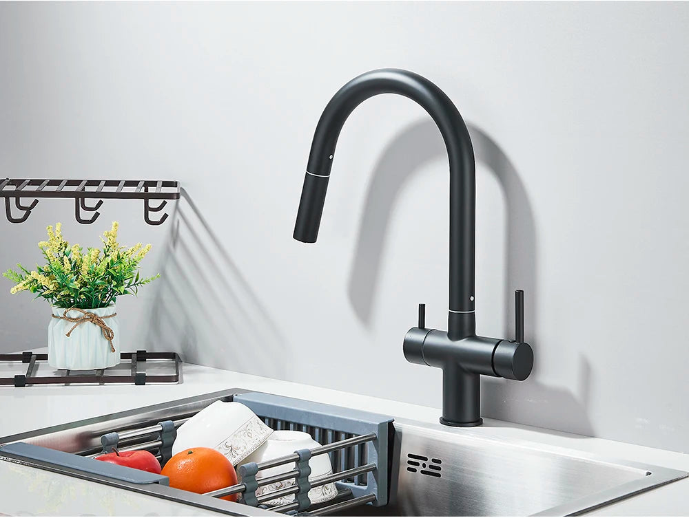 2-Mode Swivel Gold Brass Water Filter Kitchen Faucet