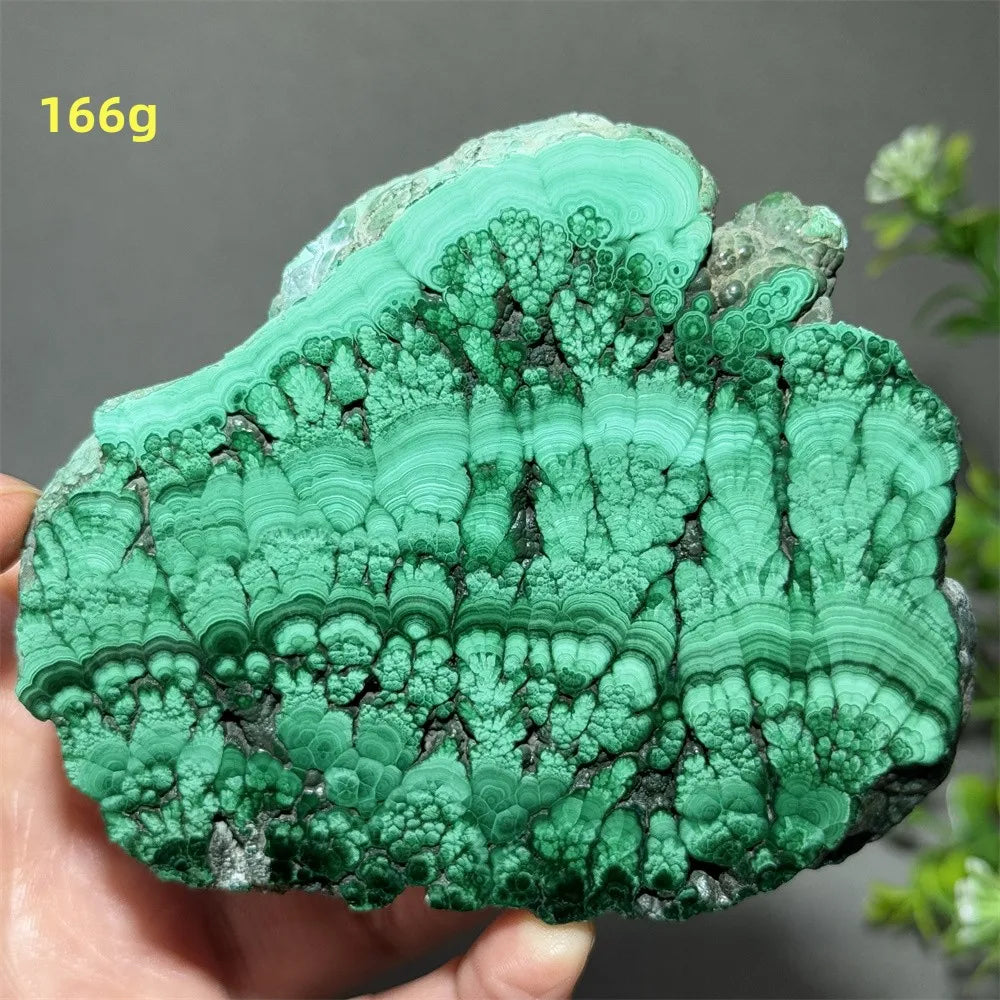 Thiên Nhiên Đá Malachite Sống Thiền Trang Trí 50cm - Daisan Mart
