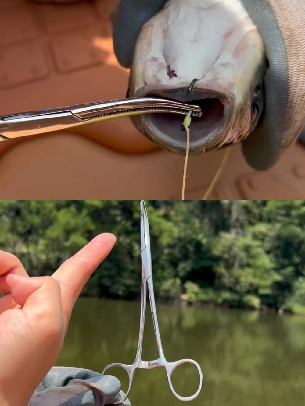 Kềm Gỡ Lưỡi Câu Đa Năng Cong Thẳng Chuyên Dụng