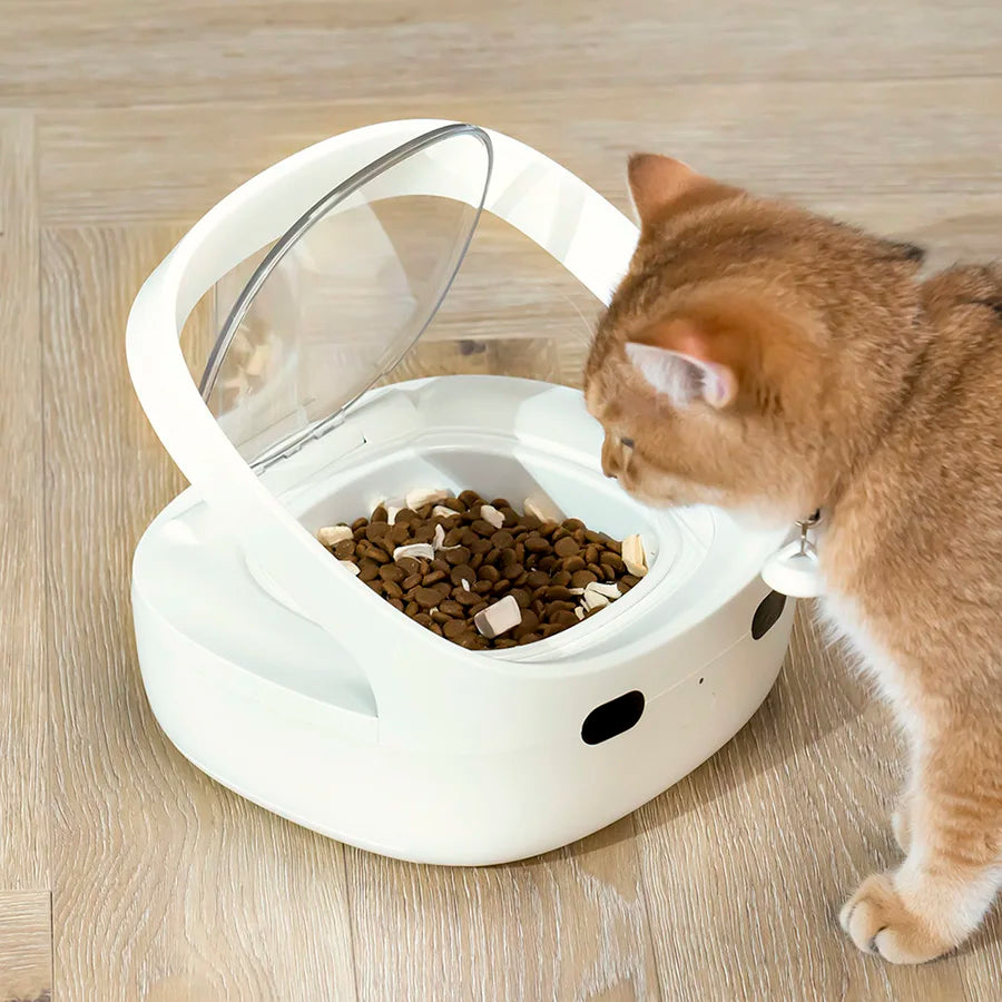New Petoneer NutriCare Feeder Tailored For Multi-Pet Households Pet feeder Cat And Dog Feeder With App Global Version - Daisan Mart