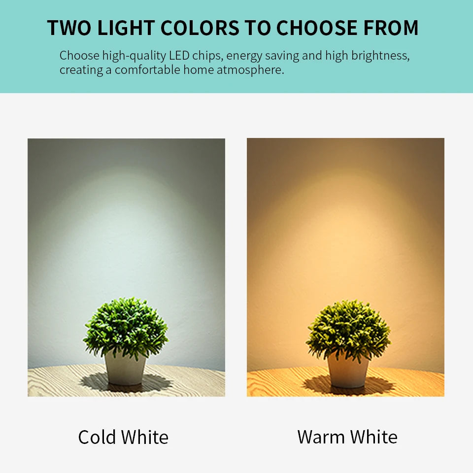 Set of 5 12V Multi-Power Indoor LED Bulbs