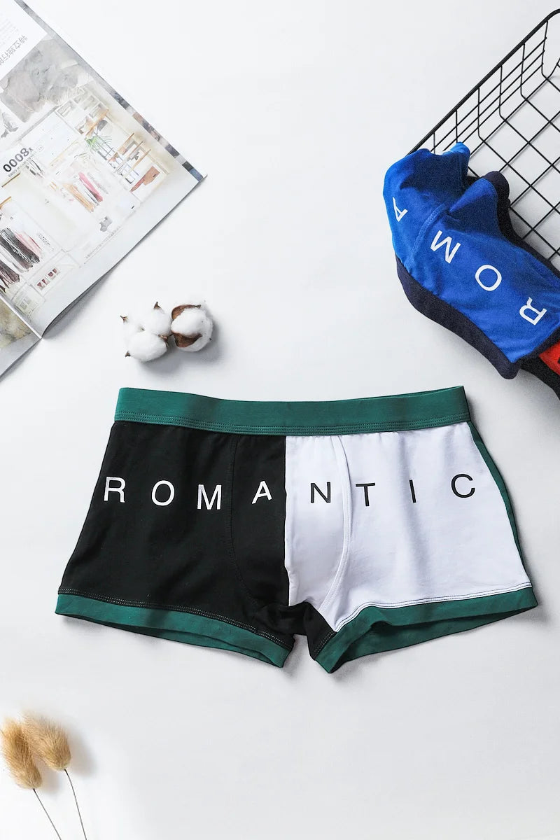 Quần lót nam cotton thể thao thoáng khí mùa hè - Daisan Mart