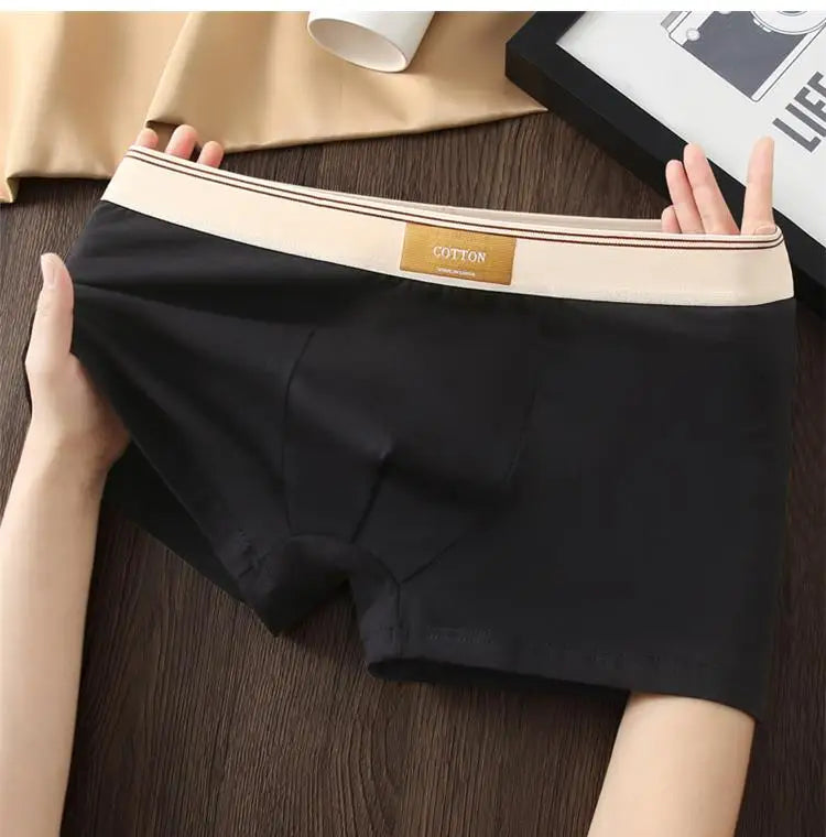 Quần Boxer Nam Cotton Thoáng Khí Thể Thao Gợi Cảm